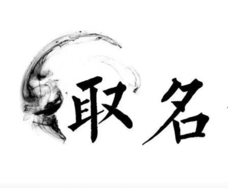  金川宝宝取名 大师一对一人工起名